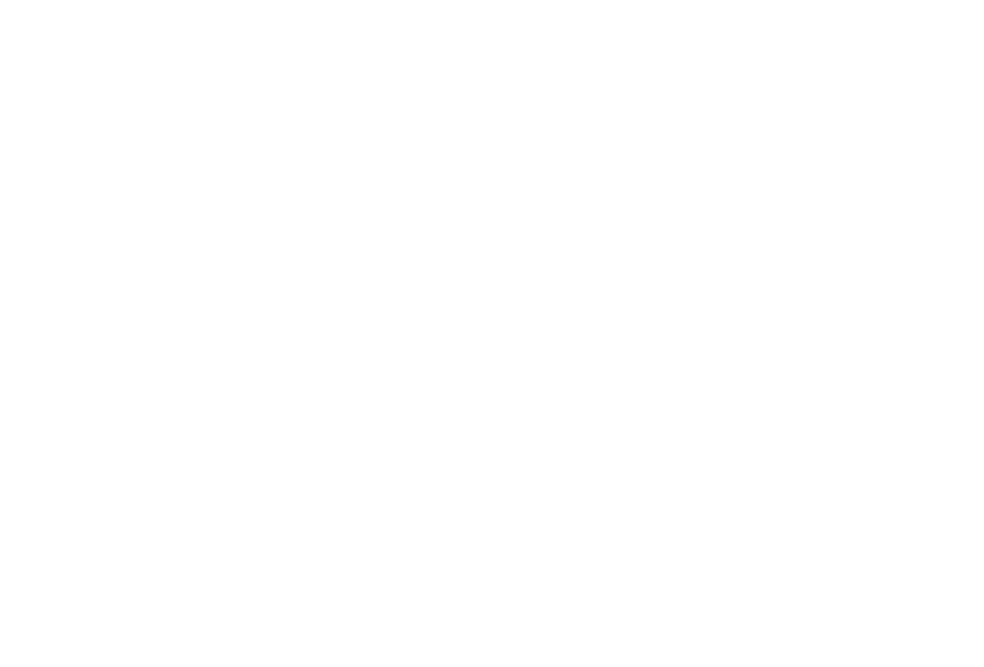 Share the Joy Foundation